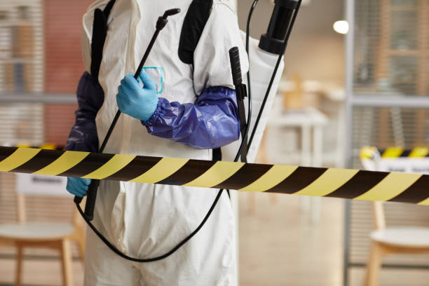 Professional Sewage Cleanup technician working in Trenton, TN